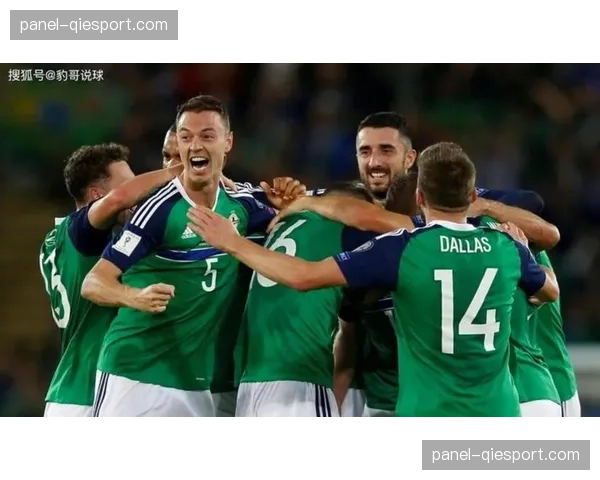 爱尔兰队年轻阵容面临考验，对阵意大利队比赛过程紧张激烈