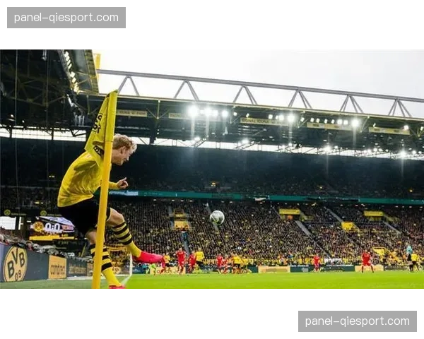 欧足联要求站席安装连续金属护栏，多特蒙德现有设计不符标准